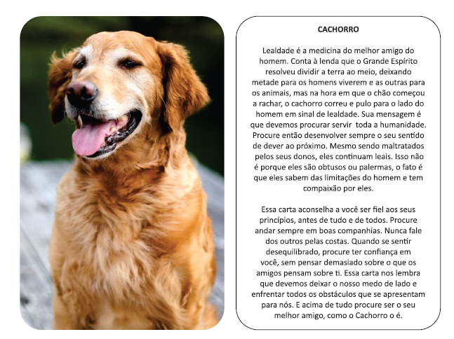 BARALHO DOS ANIMAIS