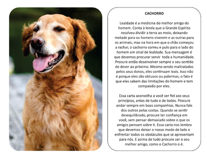 BARALHO DOS ANIMAIS